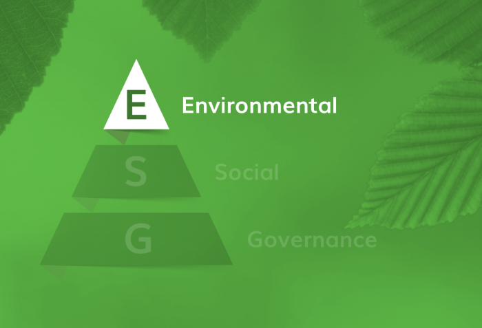 Esg governance blueprint