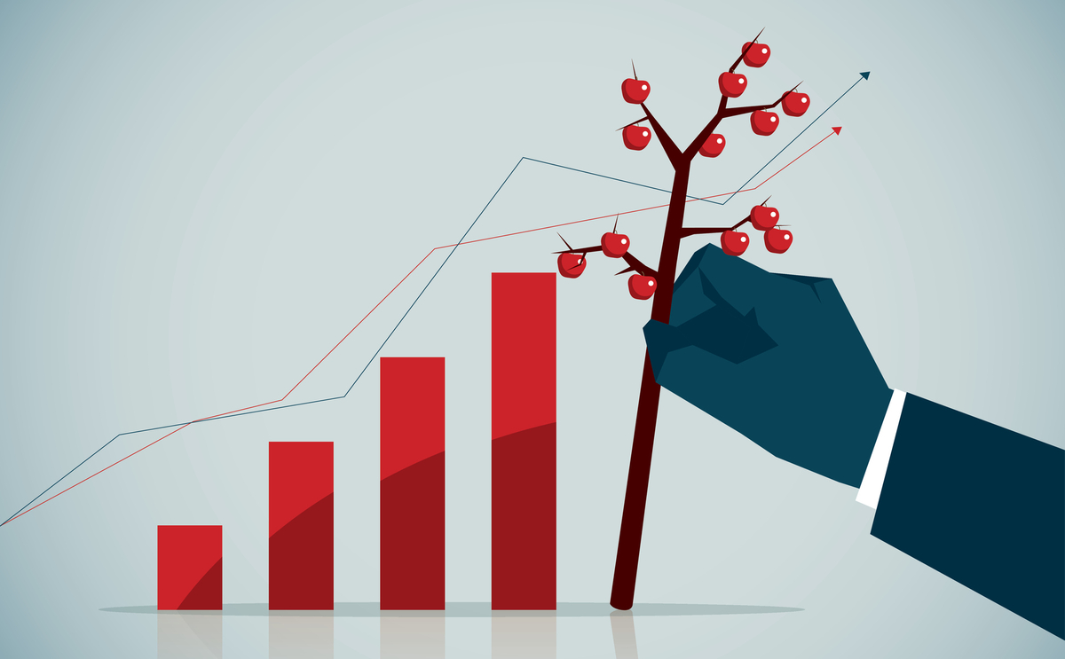 Investment Opportunities 2025 Panduan Investasi Masa Depan