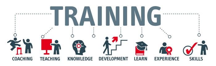 Career development top courses