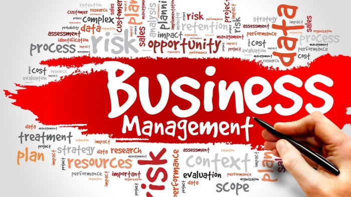 Management business solutions cloud
